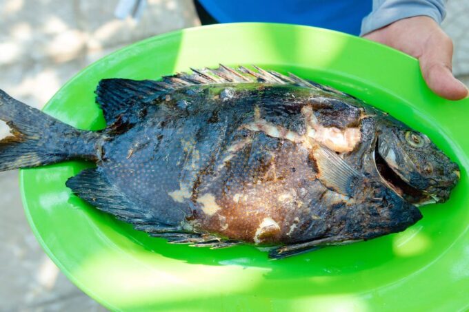 Rach Vem: Nature Immersive Exp, a Day as a Local Fisherman - Rach Vem Beach Experience