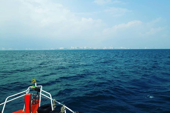 Racha & Coral Island Day Trip by Speedboat - Lunch Included - Speedboat Transfers and Boarding