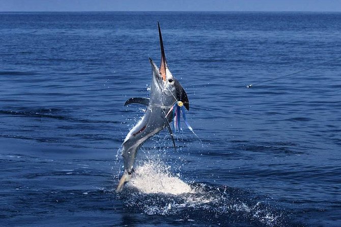 Racha Island Fishing Join On Special Giant Fish From Phuket - Key Points