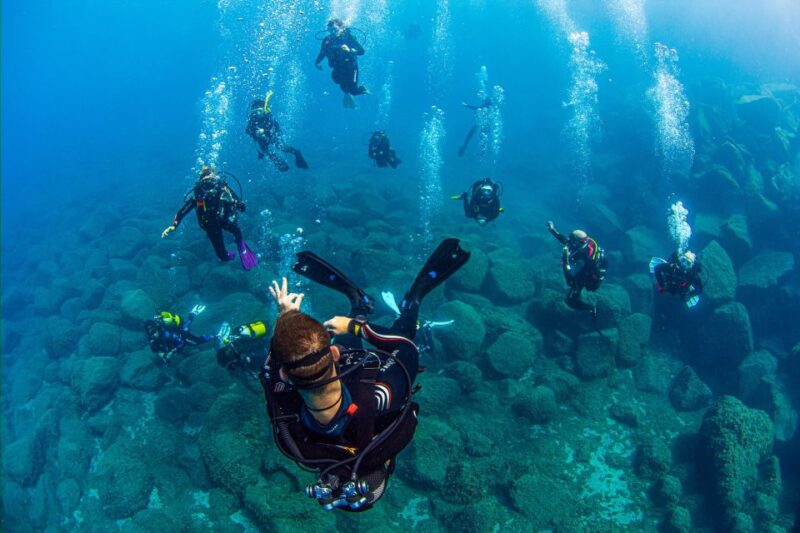 Radazul: Diving Trip in Radazul Bay With Drinks - Activity Itinerary