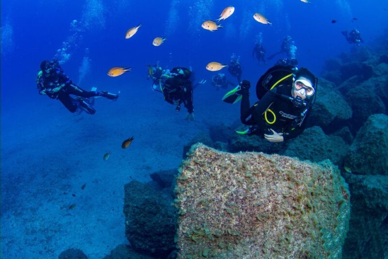 Radazul: Diving Trip in Radazul Bay With Drinks - Booking and Pricing