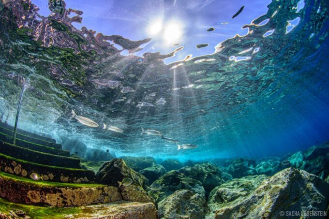 Radazul: Diving Trip in Radazul Bay With Drinks - Post-Dive Amenities