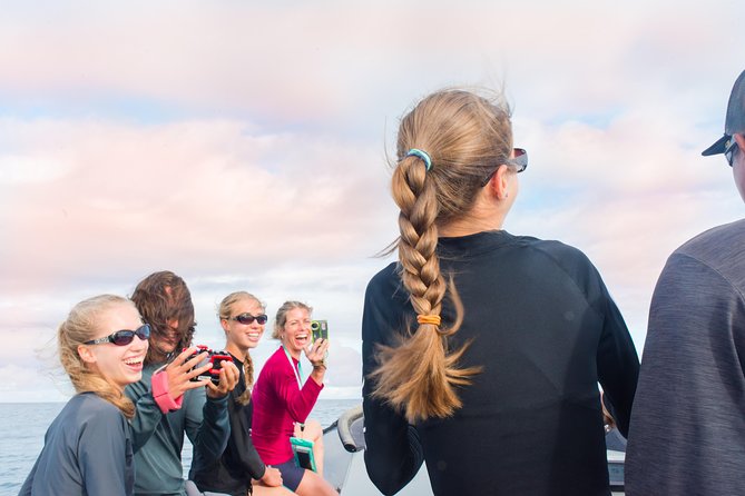 RAFT ADVENTURE - Whale Watch Discovery - Humpback Whale Migration and Habitat
