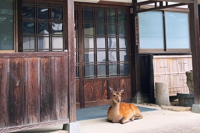 Raft Style Boat Tour With Lunch From Miyajima - Dining and Refreshments on the Tour