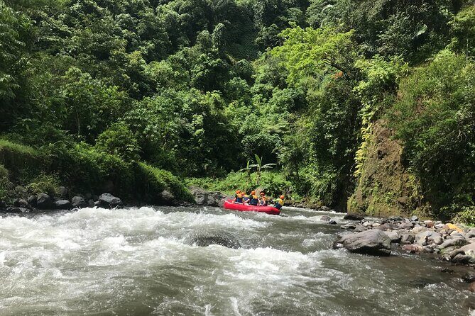 Rafting Adventure 18 km and Balinese Village Life Tour with Lunch - Analyzing the Value