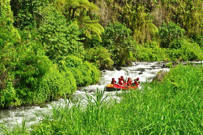 Rafting Adventure 18 km and Balinese Village Life Tour with Lunch - The Sum Up