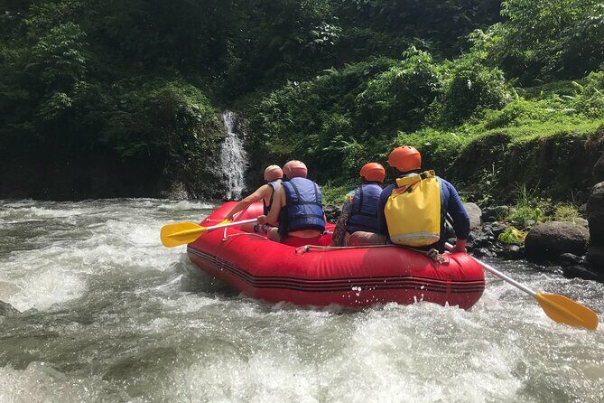 Rafting Adventure 18 km and Balinese Village Life Tour with Lunch - FAQ