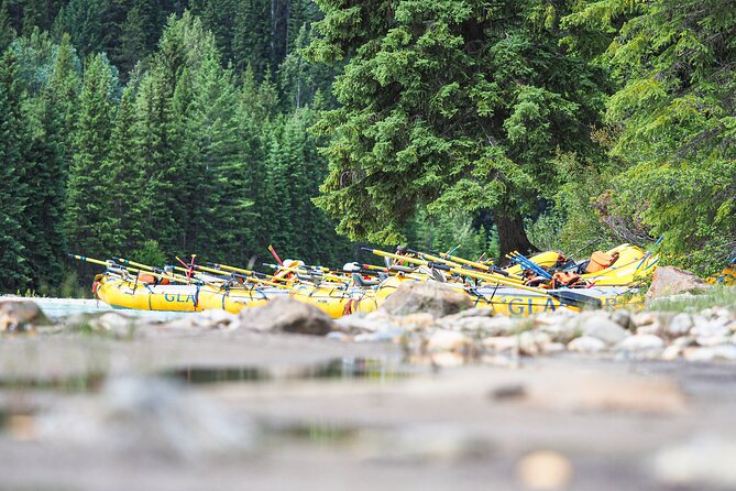 Rafting Adventure on the Kicking Horse River - Customer Reviews and Ratings