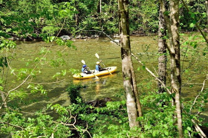 Rafting and Kayaking Adventure in River Kupa - Participant Requirements