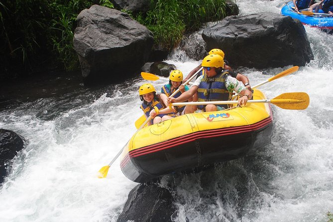 Rafting at Telaga Waja River Bali - Inclusions