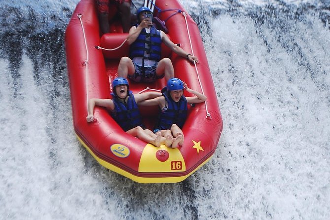 Rafting at Telaga Waja River Bali - Activity Description