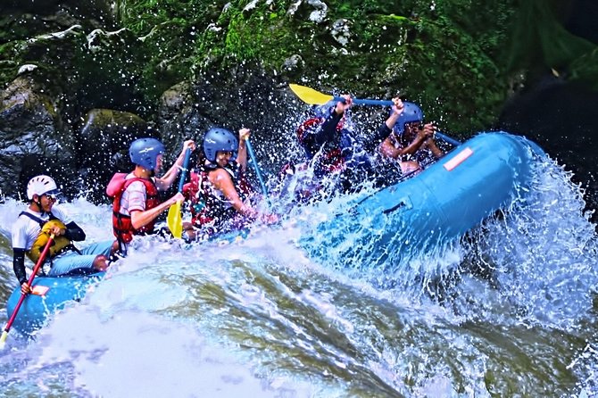 Rafting From Monteverde Rio Tenorio - Key Points