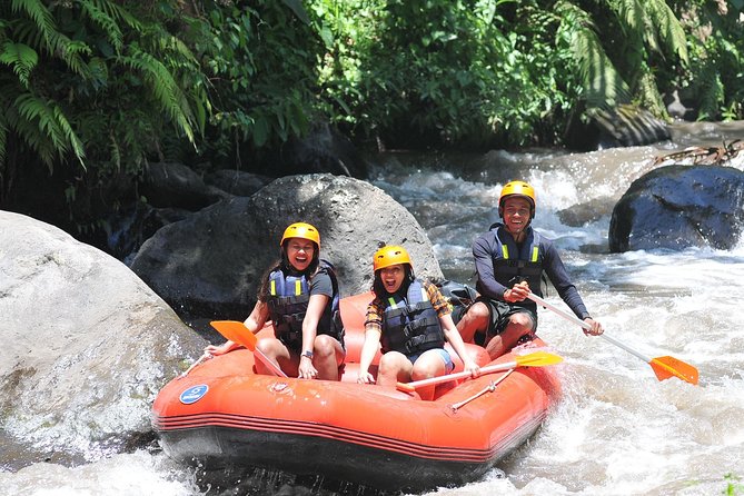 Rafting Private Ayung River With Private Boat in Ubud Bali - Good To Know