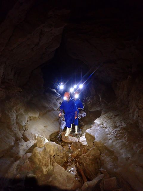 Raglan: Guided Cave Adventure With Glow Worms - Booking Details