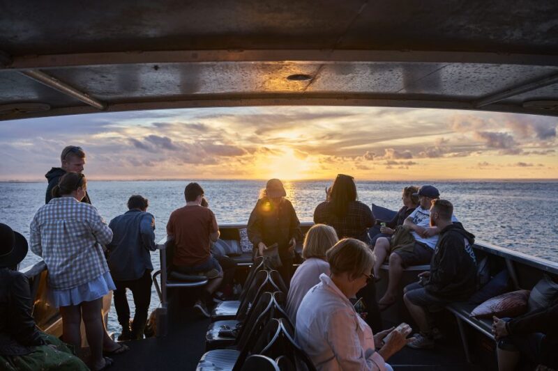 Raglan: Lunchtime Cruise of Raglan Harbour - Key Points
