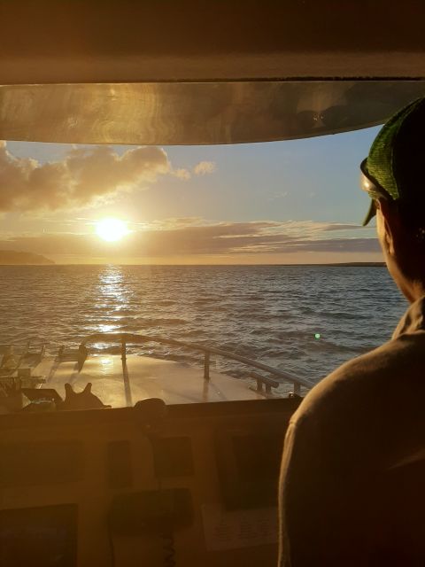 Raglan: Scenic Harbour Sunset Cruise - Experience Highlights
