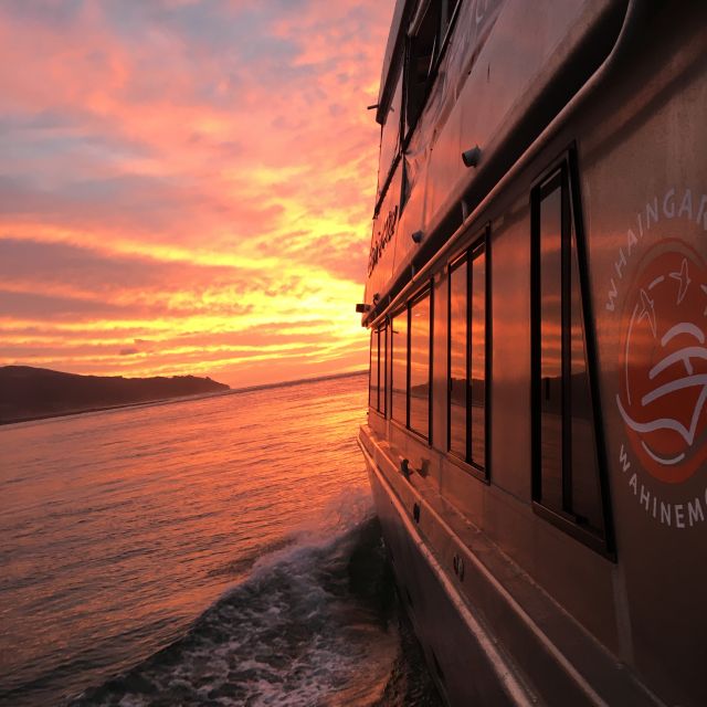 Raglan: Scenic Harbour Sunset Cruise - Customer Reviews and Ratings