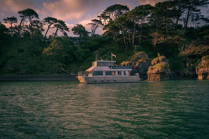 Raglan Scenic Nature Boat Cruise - Exploring the Raglan Scenic Nature Boat Cruise in Detail