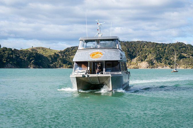 Raglan Scenic Nature Boat Cruise - Who Will Enjoy This Tour?