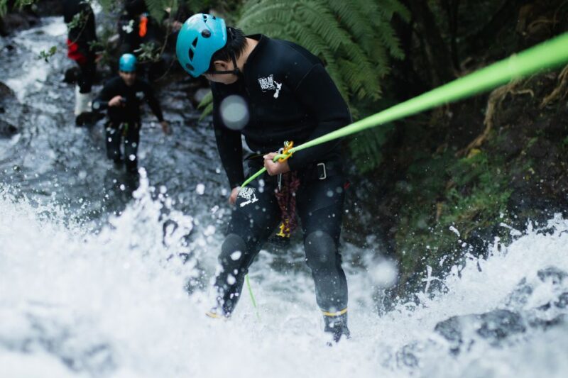 Raglan: Sunset Canyoning Tour and Glowworm Experience - Experience Highlights