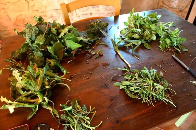 Ragusa Countryside Home Cooking Class & Meal - Seasonal Variations