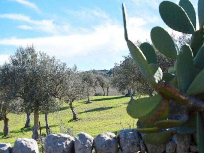 Ragusa: Ricotta Making Expereince at a Farm With Dinner - Logistics and Feedback