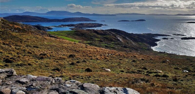 Rail Tour From Dublin: the Ring of Kerry - Customer Reviews and Ratings