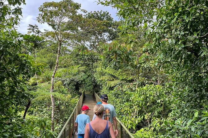 Rain Forest Hike: Rio Celeste Waterfall, Sloth & Butterfly Farm - Guest Ratings and Feedback
