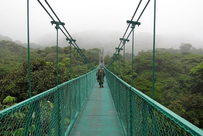 Rain Forest Monteverde,Hanging Bridges, Sloths,Birds Watching - Key Points
