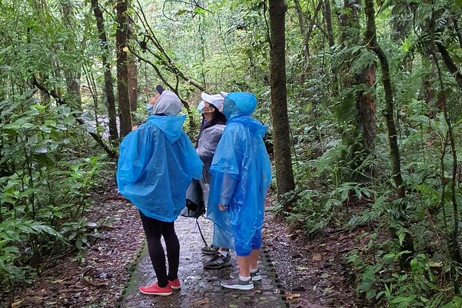 Rain Forest Monteverde,Hanging Bridges, Sloths,Birds Watching - Company Commitment
