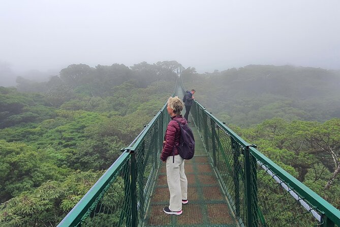 Rain Forest Monteverde,Hanging Bridges, Sloths,Birds Watching - Booking and Cancellation