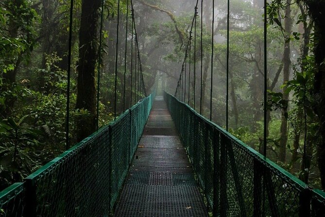 Rain Forest Monteverde,Hanging Bridges, Sloths,Birds Watching - Transportation and Meals