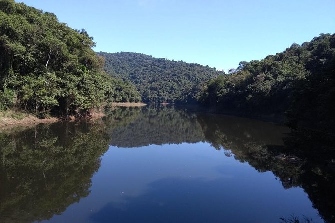 Rain Forest Trail Cantareira Natural Park From Sao Paulo - Highlights of the Excursion
