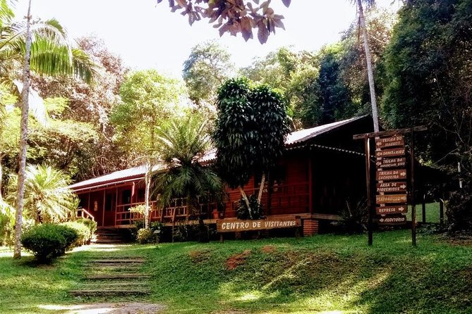Rain Forest Trail Cantareira Natural Park From Sao Paulo - Memorable Moments and Insights