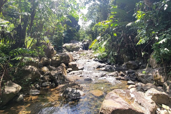 Rain Forest Waterfall Discovery With Natural Mud Bath - Meeting and Pickup Details