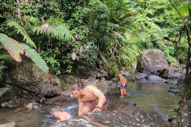 Rain Forest Waterfall Discovery With Natural Mud Bath - Exploring the Rain Forest Waterfall