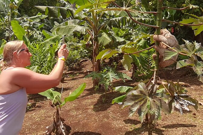 Rain Forest, Wild Life, Waterfall and Chocolate Private Tour - Tour Overview