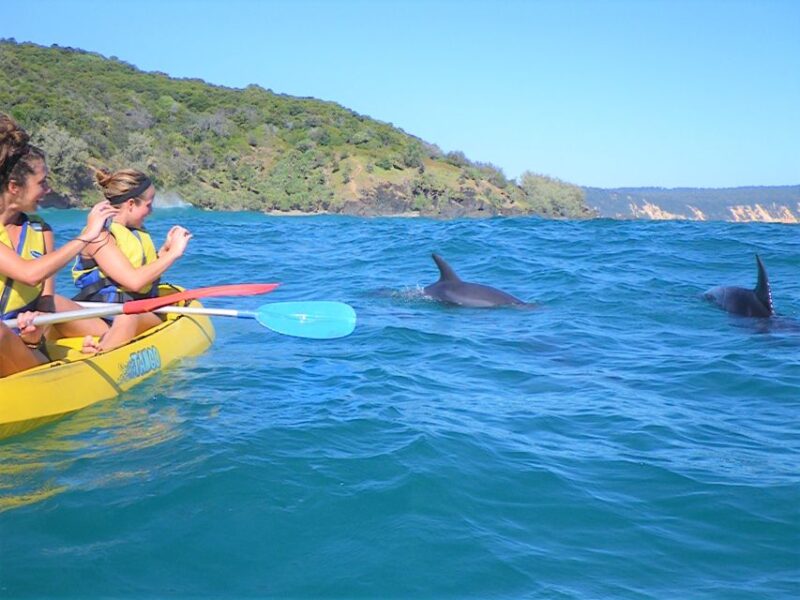 Rainbow Beach: Kayaking With Dolphins and Beach 4WD Tour - Inclusions and Requirements