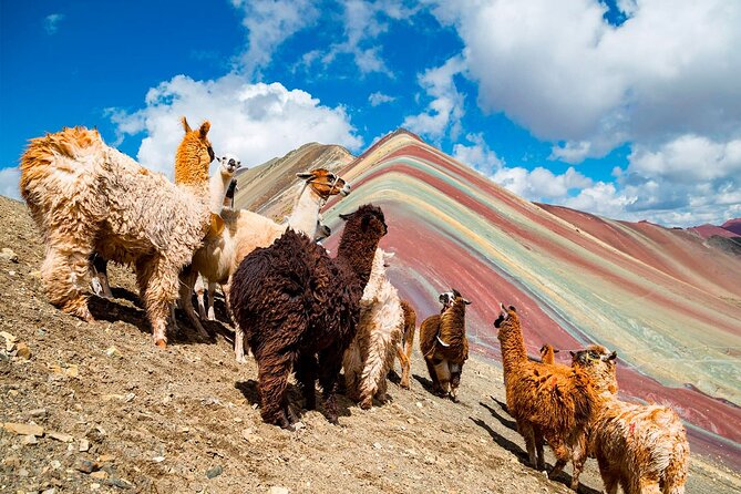 Rainbow Mountain in One Day From Cusco  (Private Service) - Key Points