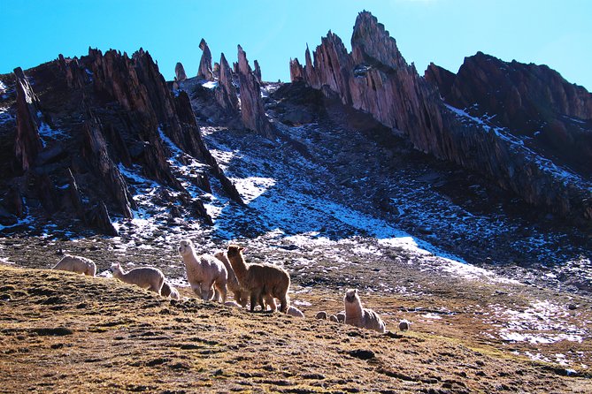 Rainbow Mountain Palcoyo in Private With Peru - Inclusions