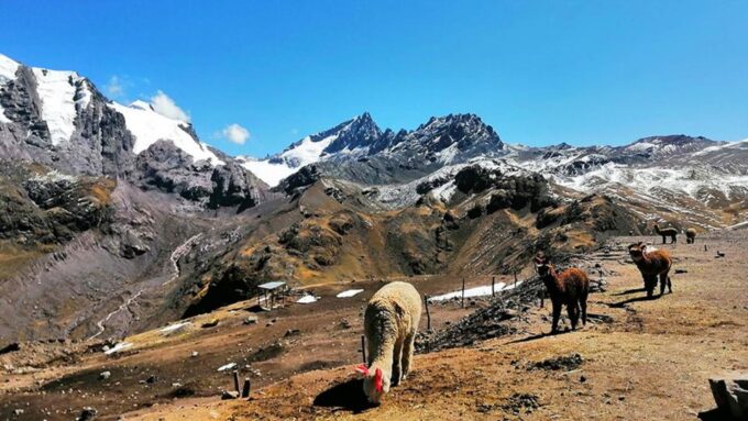 Rainbow Mountain Tour and Machu Picchu Tour by Train - Experience Highlights