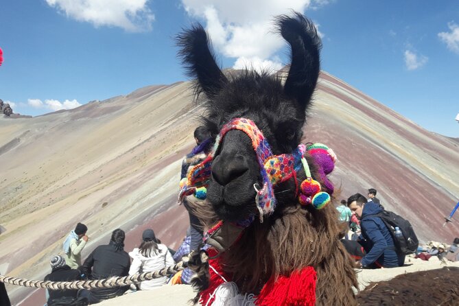 Rainbow Mountain Tour in Quad Bike (1-Day) - Reviews Summary