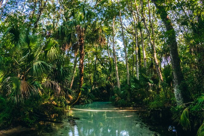 Rainbow Springs: Clear Kayak & Snorkel Eco Tour - Preparing for the Tour
