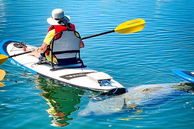 Rainbow Springs Electric Paddle Tour - Electric Stand-Up Paddleboarding