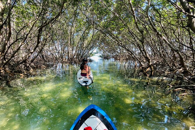 Rainbow Springs Electric Paddle Tour - Meeting and Pickup Information