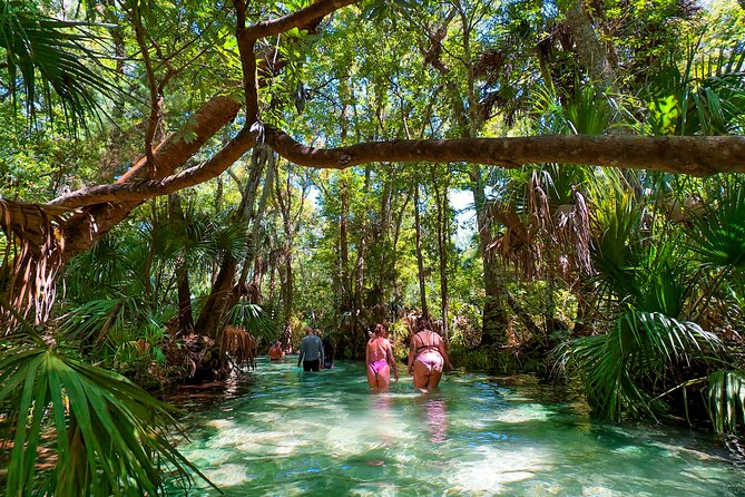 Rainbow Springs Paddle Board Adventure - Meeting and End Points