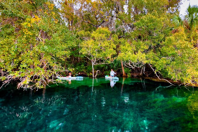 Rainbow Springs Paddle Board Adventure - Paddle Board Experience