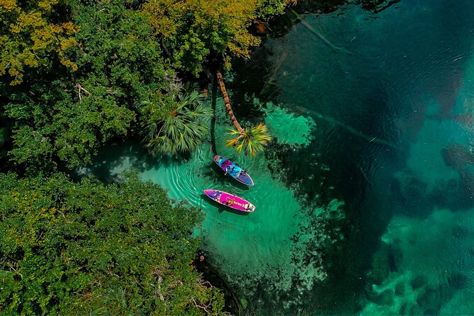 Rainbow Springs Paddle Board Adventure - Capturing the Moments