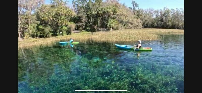 Rainbow Springs: Rainbow River Snorkel & Sightseeing Cruise - Exploring the Rainbow River: A Natural Gem