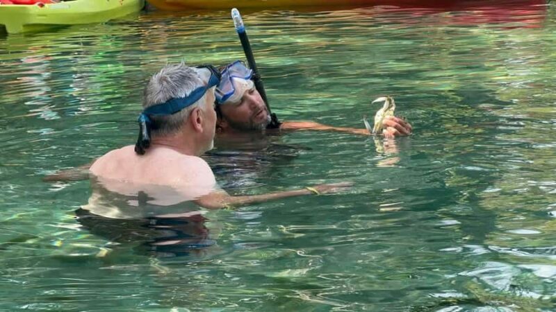 Rainbow Springs: Rainbow River Snorkel & Sightseeing Cruise - Who Should Consider This Experience?